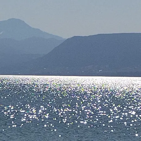 Bacherlhouse - Steinbach