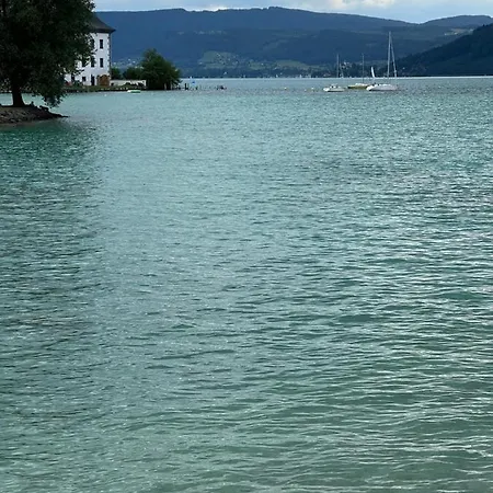 Bacherlhouse - Steinbach シェルフリンク