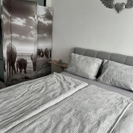 Bacherlhouse - Steinbach Apartment