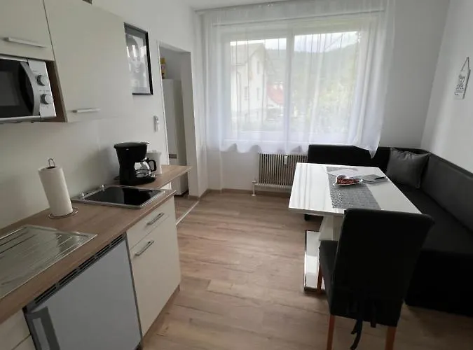 Διαμέρισμα Bacherlhouse - Steinbach Schörfling