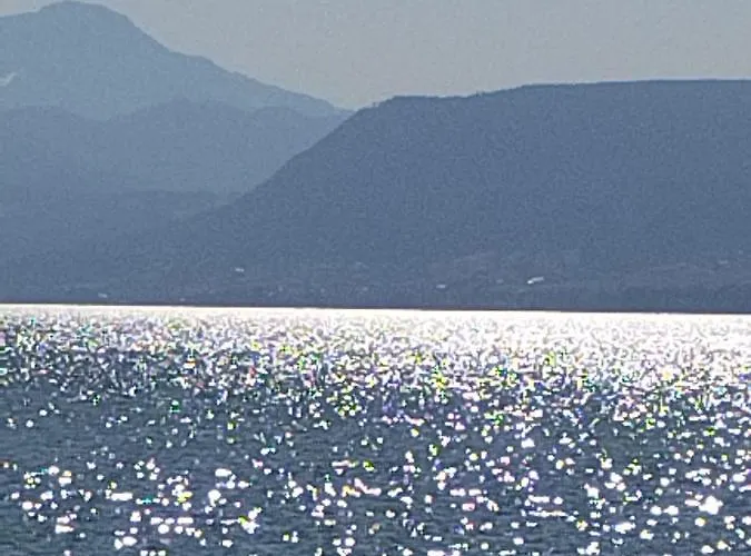 Bacherlhouse - Steinbach