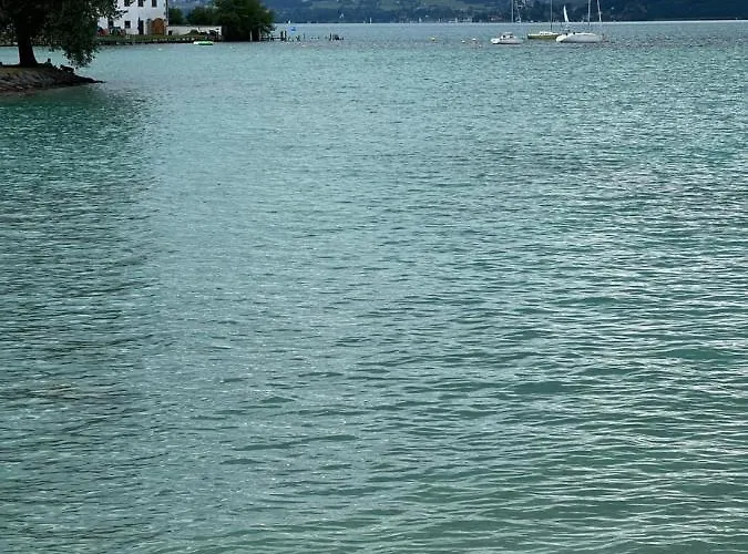 Bacherlhouse - Steinbach Schörfling