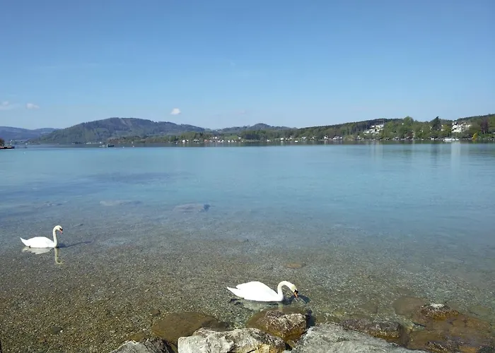 Bacherlhouse - Steinbach *