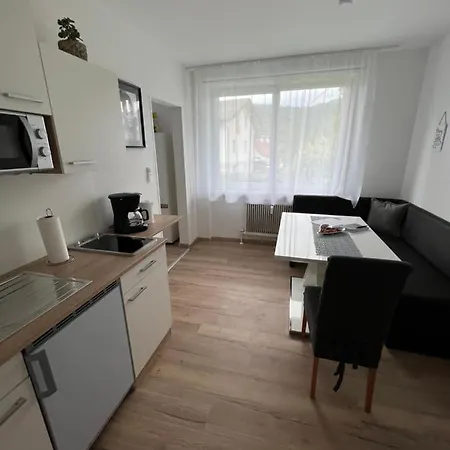 Апартаменты Bacherlhouse - Steinbach Шёрфлинг