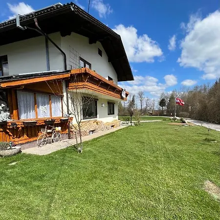 Bacherlhouse - Steinbach Daire *