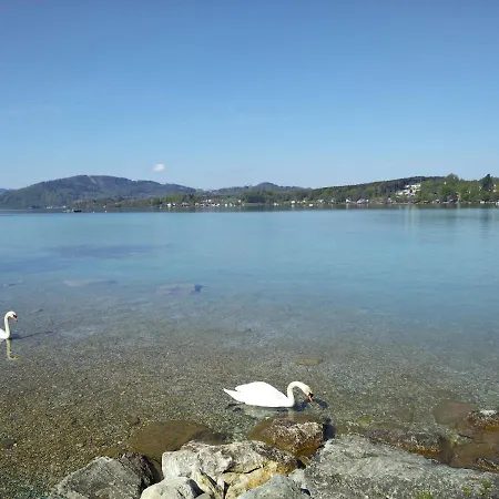 Bacherlhouse - Steinbach *